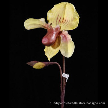 PU Insigne Flower (SP002-25S)